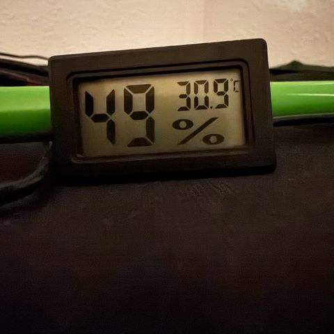 Runtz Auto growlog timeline photo