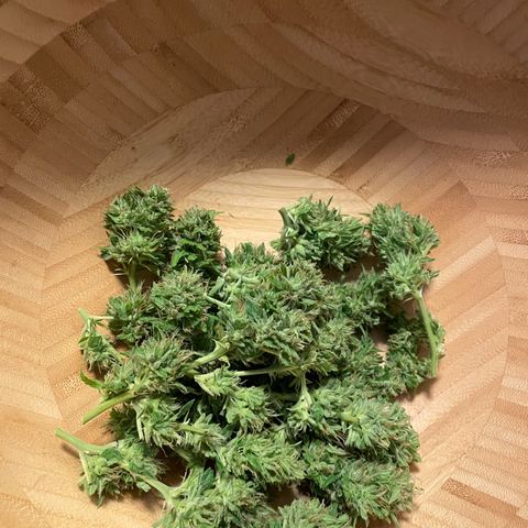 OG Kush growlog timeline photo