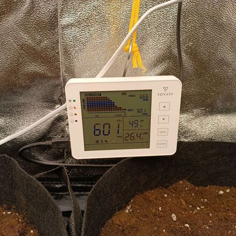 Fat Banana growlog timeline photo