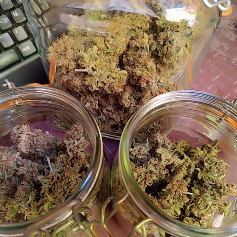 Candy Rain  growlog timeline photo
