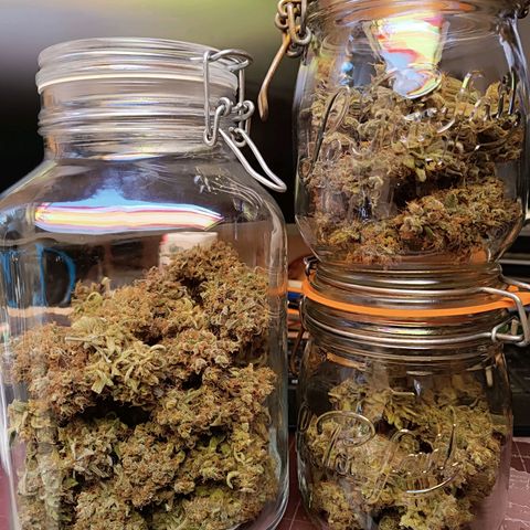 Candy Rain  growlog timeline photo