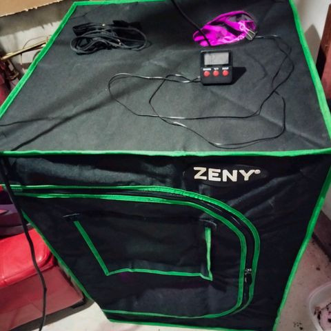 Special 1 growlog photo: New tent