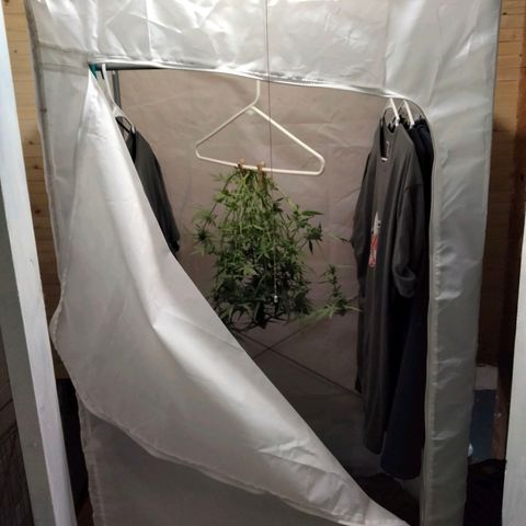 Orion 1 growlog photo: Drying closet 