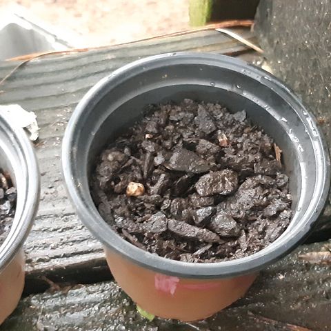 First haul  #1 growlog timeline photo