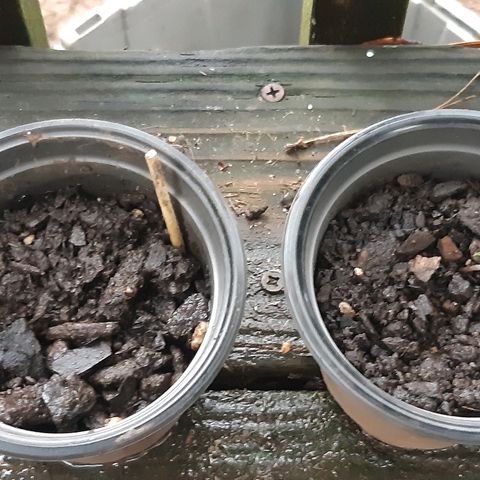 First haul  #1 growlog timeline photo