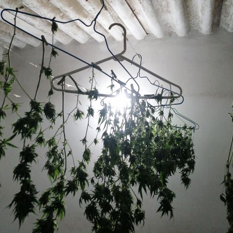 Skywallker 08 growlog timeline photo