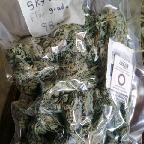 Skywallker 08 growlog timeline photo