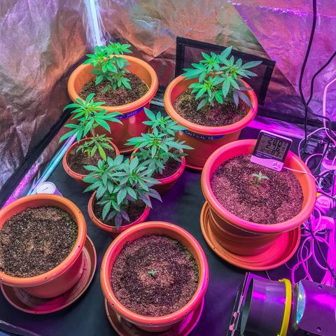 Moby-D growlog timeline photo