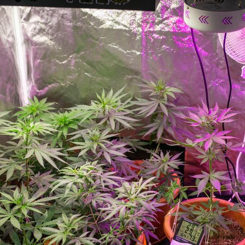 Moby-D growlog timeline photo