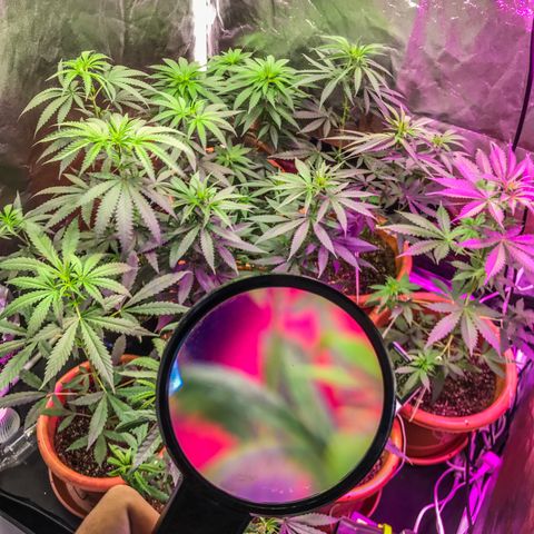 Moby-D growlog timeline photo