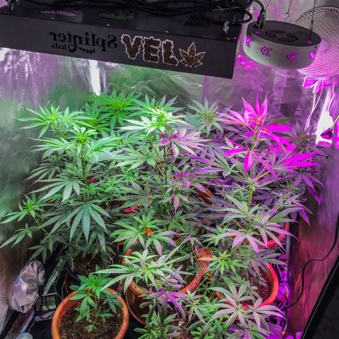 Moby-D growlog timeline photo