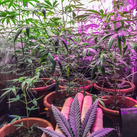 Moby-D growlog timeline photo