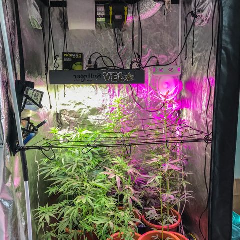 Moby-D growlog timeline photo