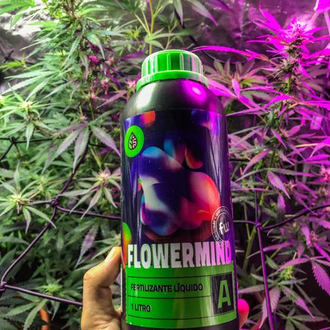 Moby-D growlog timeline photo