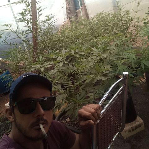 😎🍻Sativa x Ruderalis 🍁 growlog photo: Floração 😍💐💕