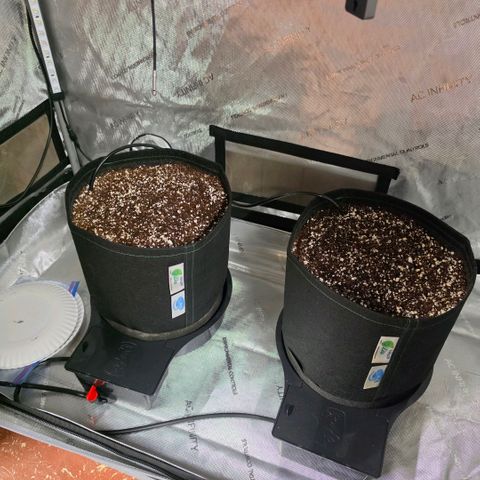 Hermie growlog timeline photo
