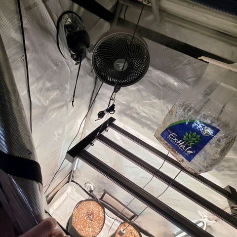 Hermie growlog timeline photo