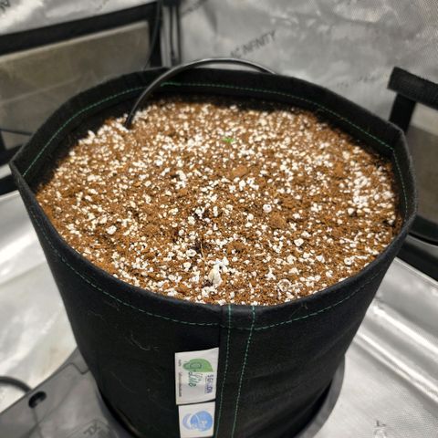 Hermie growlog timeline photo