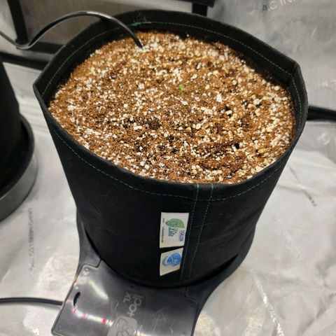 Hermie growlog timeline photo