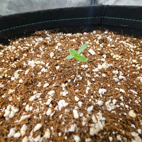 Hermie growlog timeline photo