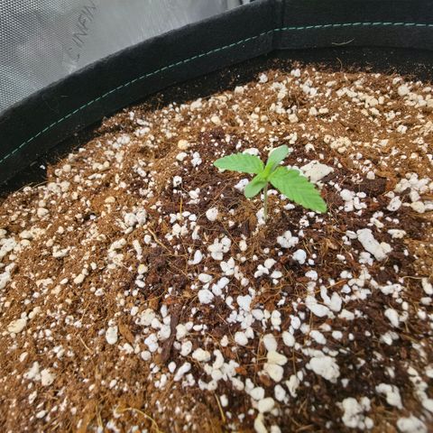 Hermie growlog timeline photo