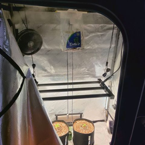 Hermie growlog timeline photo