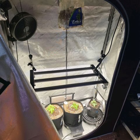 Hermie growlog timeline photo