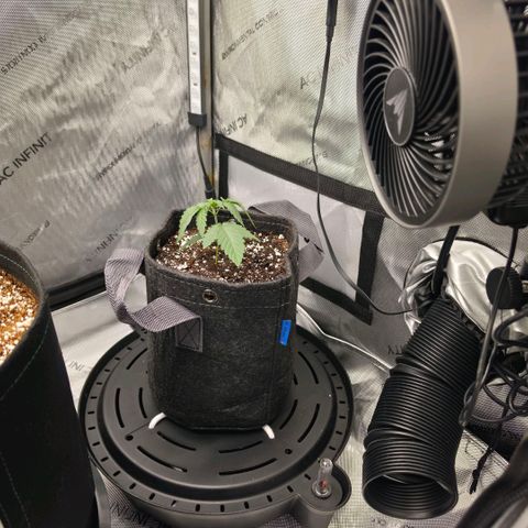 Hermie growlog timeline photo