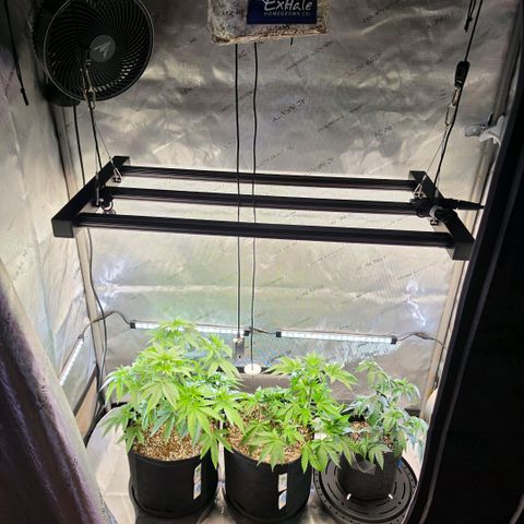 Hermie growlog timeline photo