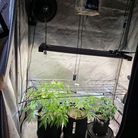 Hermie growlog timeline photo