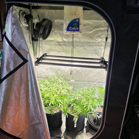 Hermie growlog timeline photo