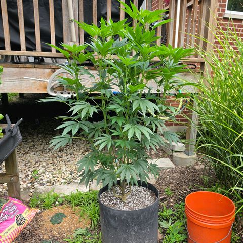 Hermie growlog timeline photo