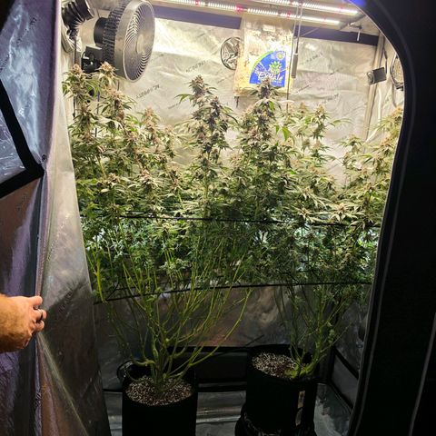 Hermie growlog timeline photo