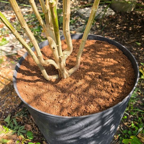 Hermie growlog timeline photo