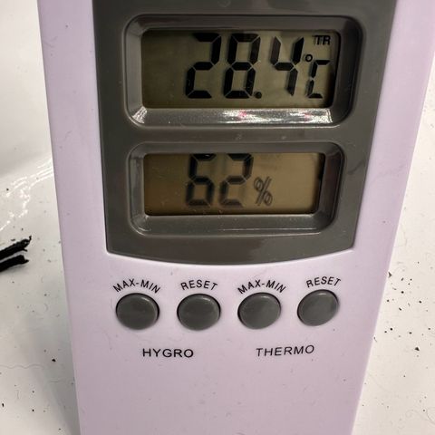 Sticky Orange XXL growlog timeline photo