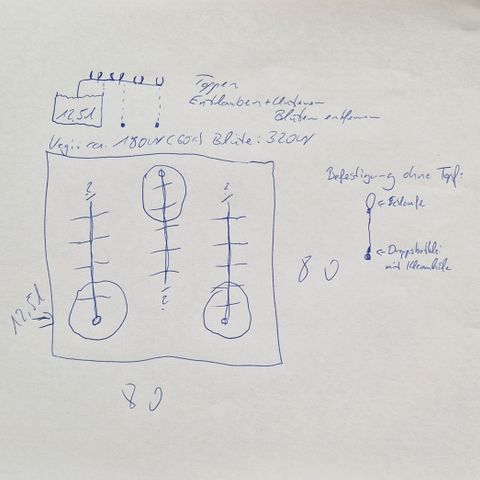 Blue Monkey ExoticSeeds 3x growlog timeline photo