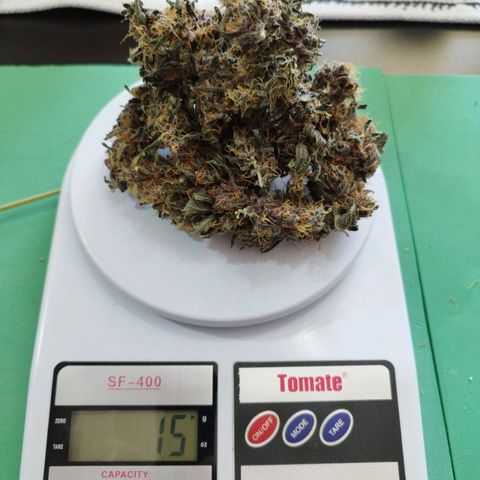Dark Purple Auto growlog timeline photo