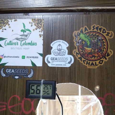 Amnesia growlog photo: Armario, consumo, bombillos nuevos
