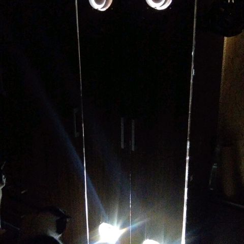 Amnesia growlog photo: Recuperándose del estrés en el que se vió sometida por falta de luz y mala ventilación, tiene el tamaño de su segunda semana de vida