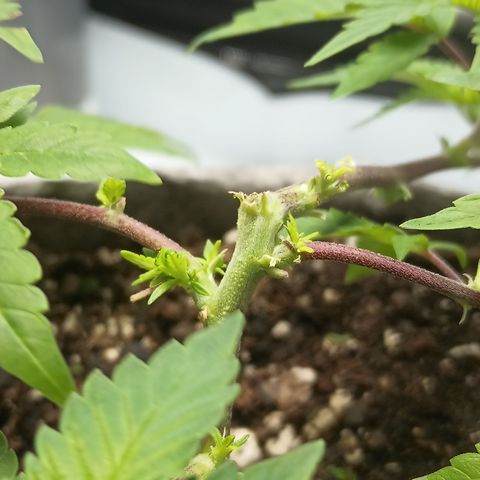 Jenni growlog timeline photo