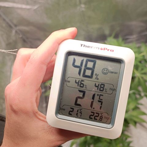 Royal Bluematic  growlog timeline photo