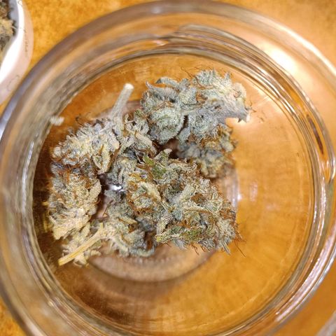 Royal Bluematic  growlog timeline photo