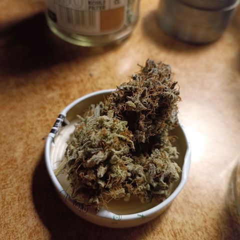 Royal Bluematic  growlog timeline photo