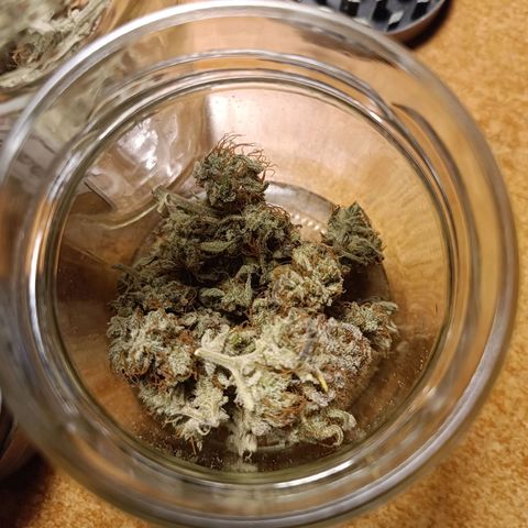 Royal Bluematic  growlog timeline photo