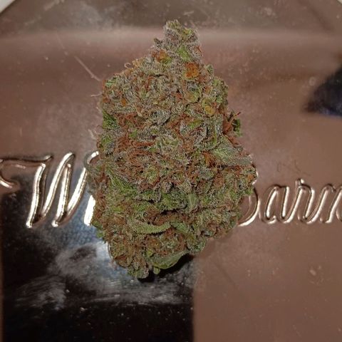 Hyperion growlog timeline photo