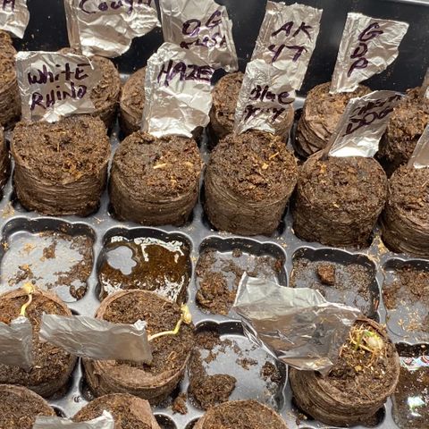 Baker bros  growlog timeline photo