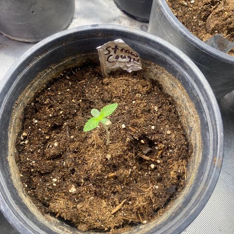 Baker bros  growlog timeline photo