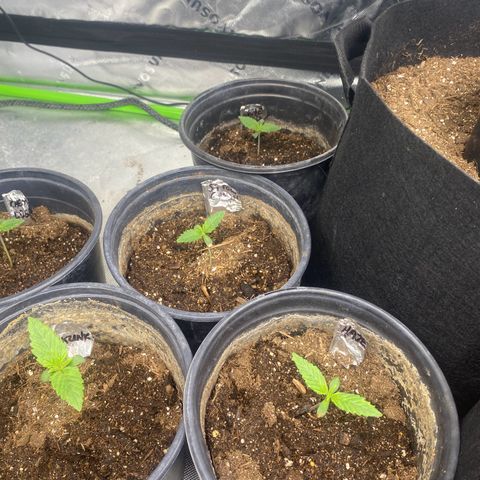 Baker bros  growlog timeline photo