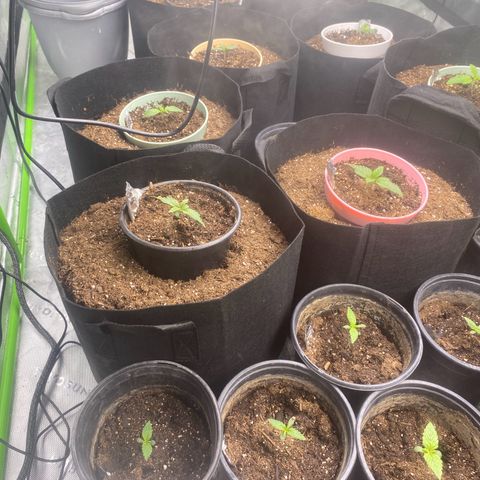 Baker bros  growlog timeline photo