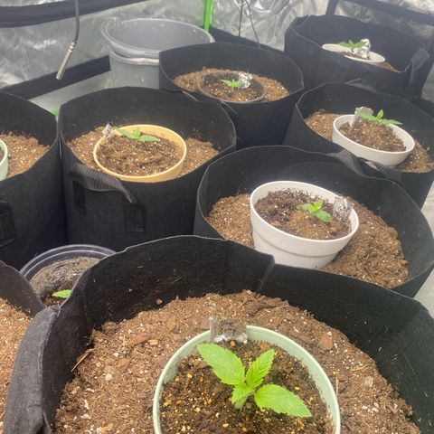 Baker bros  growlog timeline photo